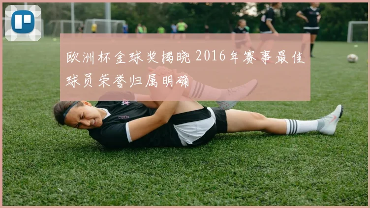 欧洲杯金球奖揭晓 2016年赛事最佳球员荣誉归属明确