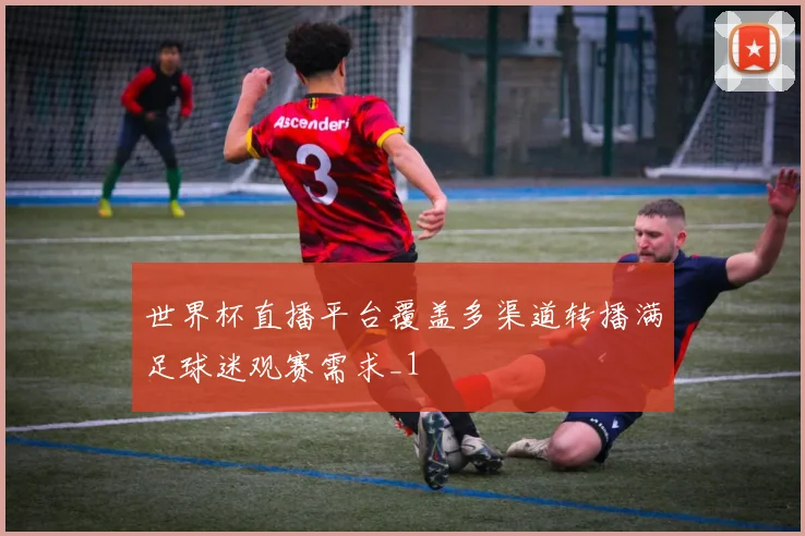 世界杯直播平台覆盖多渠道转播满足球迷观赛需求_1