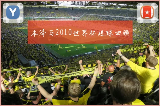 本泽马2010世界杯进球回顾