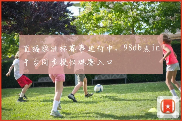直播欧洲杯赛事进行中，98db点in平台同步提供观赛入口