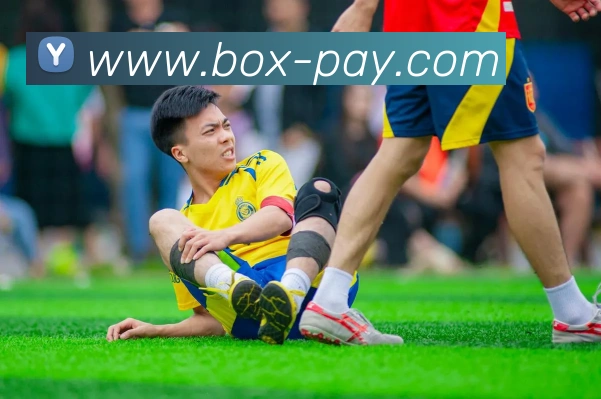 beat365官方网站入口APP 封面图